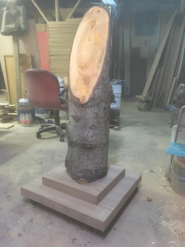 mezuniyet kütükleri