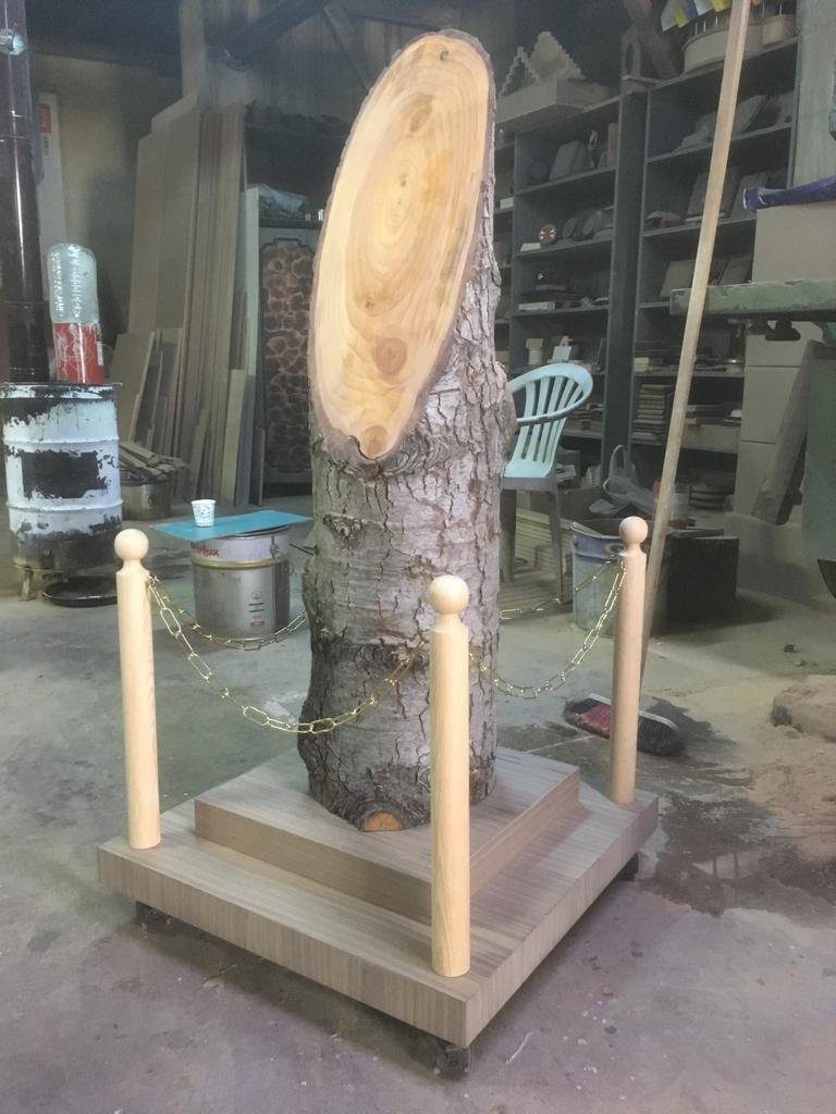 mezuniyet kütükleri