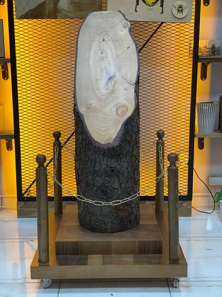 mezuniyet kütükleri