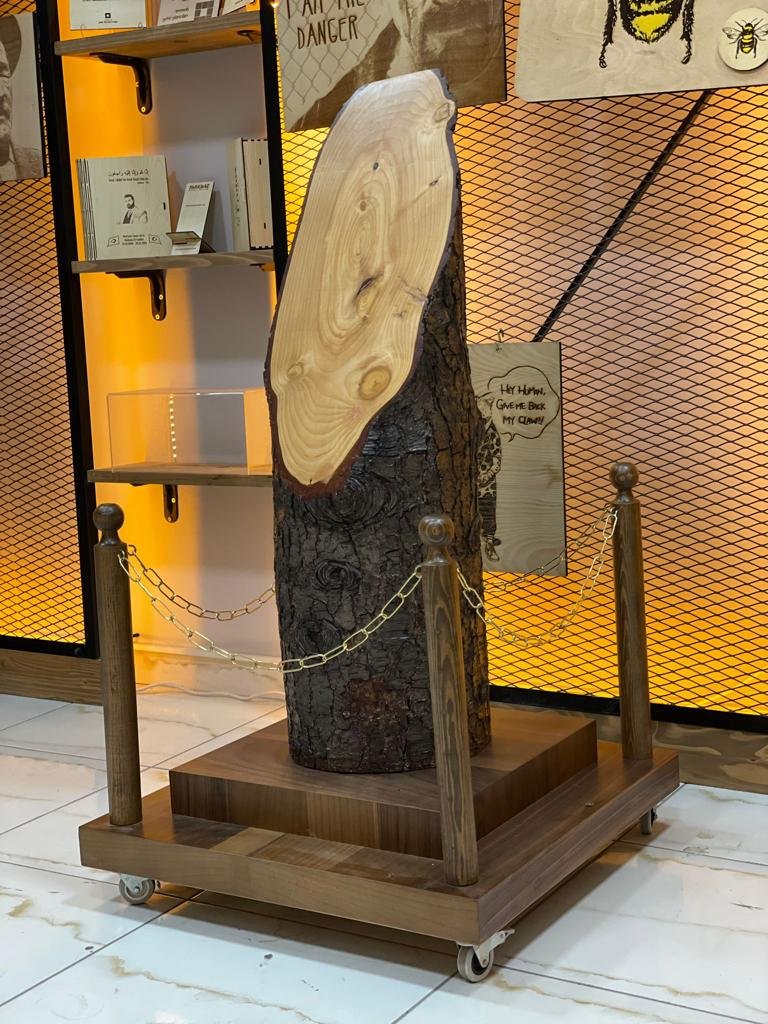 mezuniyet kütükleri