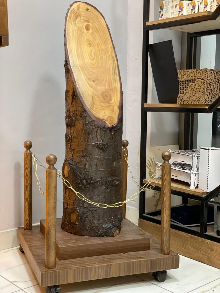 mezuniyet kütükleri