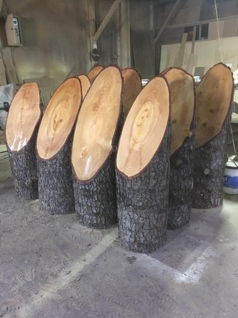 mezuniyet kütükleri