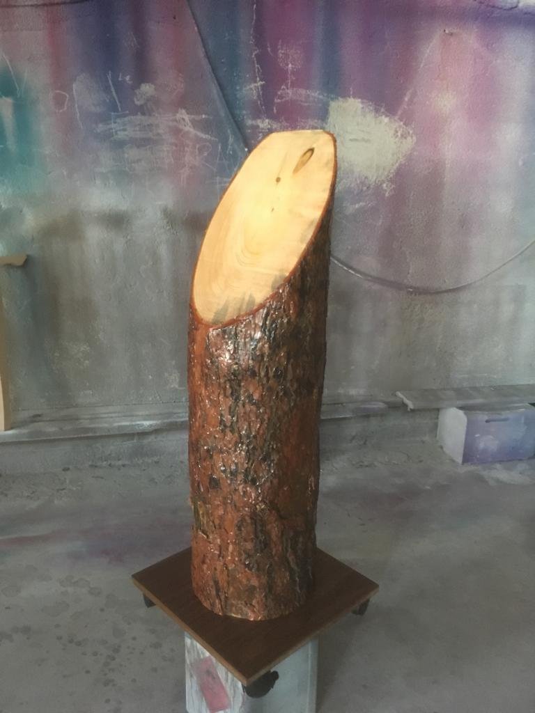 ahşap mezuniyet kütükleri